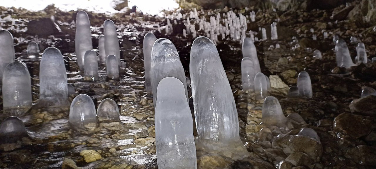 Дилдо (dildo). Подробный гайд по фаллоимитаторам